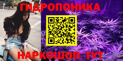 прущие грибы Чебоксары
