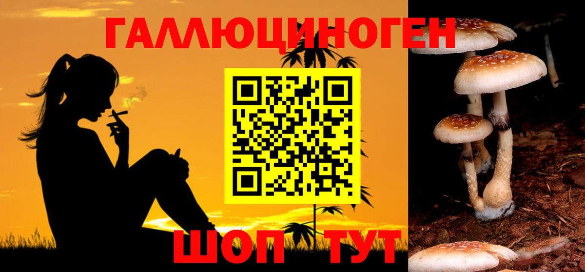 Вязники  Псилоцибиновые грибы мицелий  Вход с VPN 